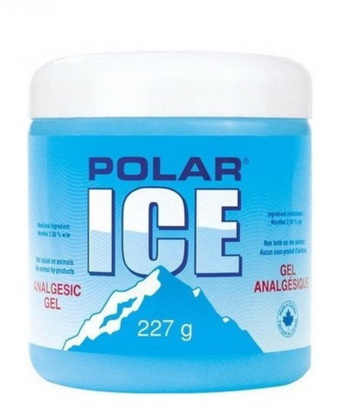 polar ice